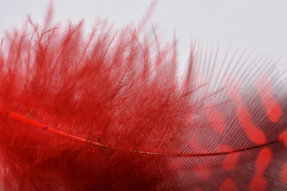 Photograph by Indra Jaunzema