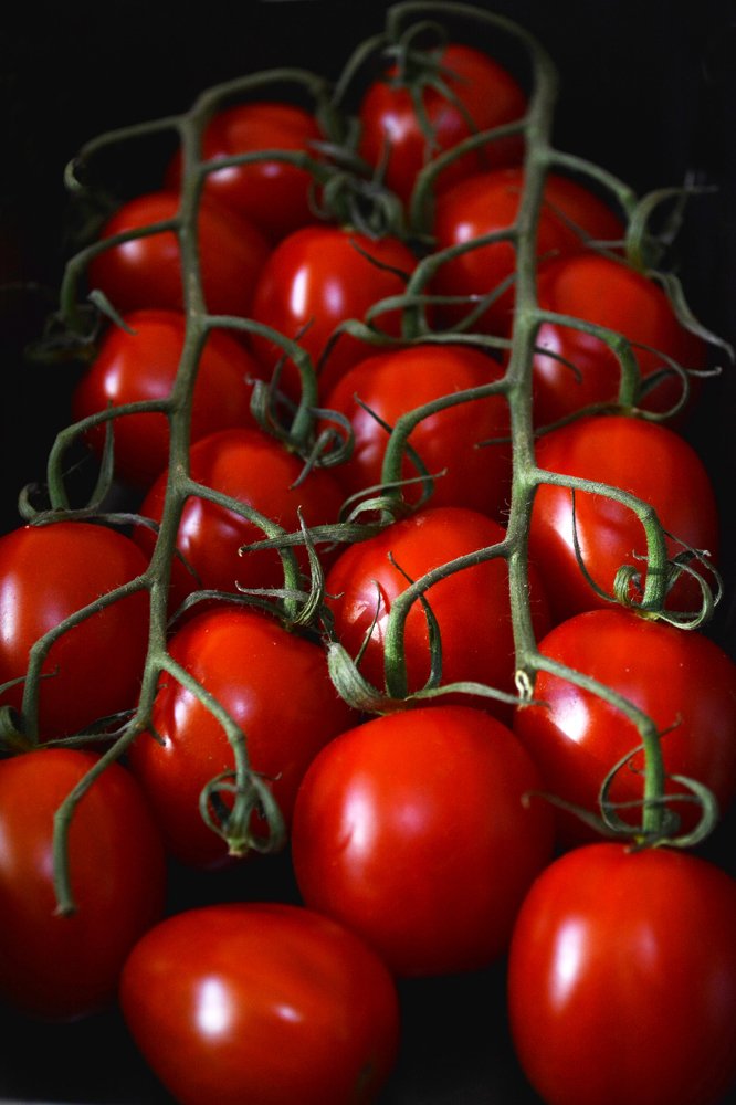 Photograph by Indra Jaunzema