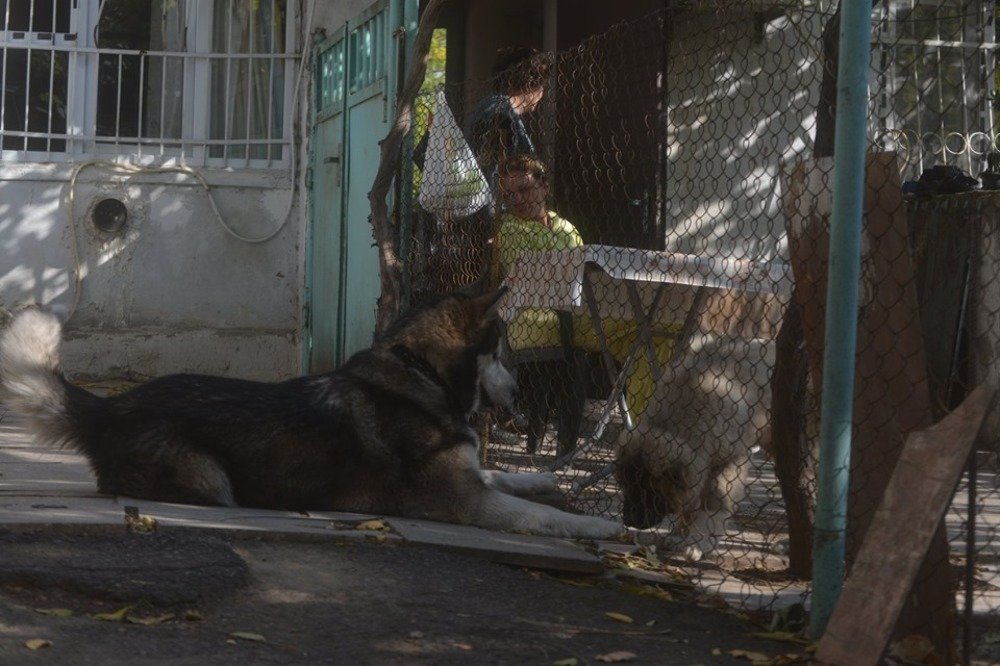 Photograph by Davit Medzmariashvili