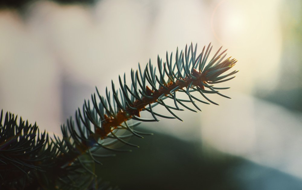 Photograph by Егор Колочков