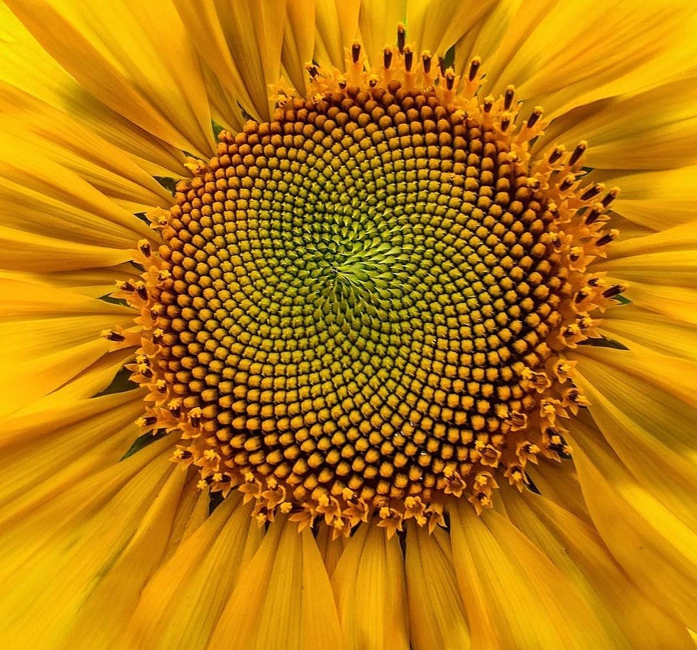 Photograph by Aleksandr Golubkov