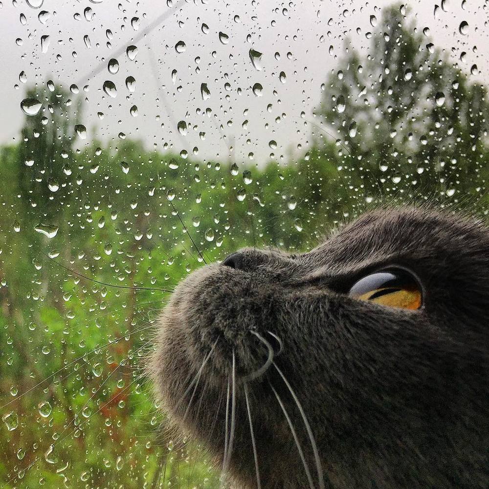 Photograph by Aleksandr Golubkov