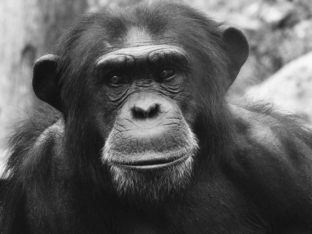 Photograph by Слава Гальперин