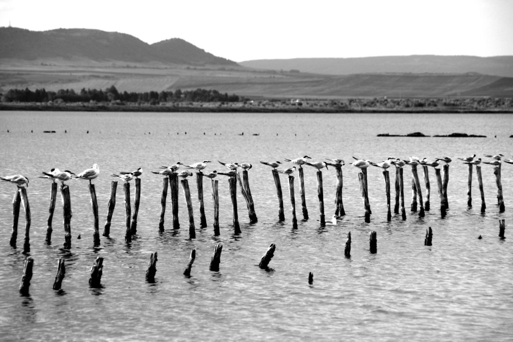 Photograph by Валерия Маркова