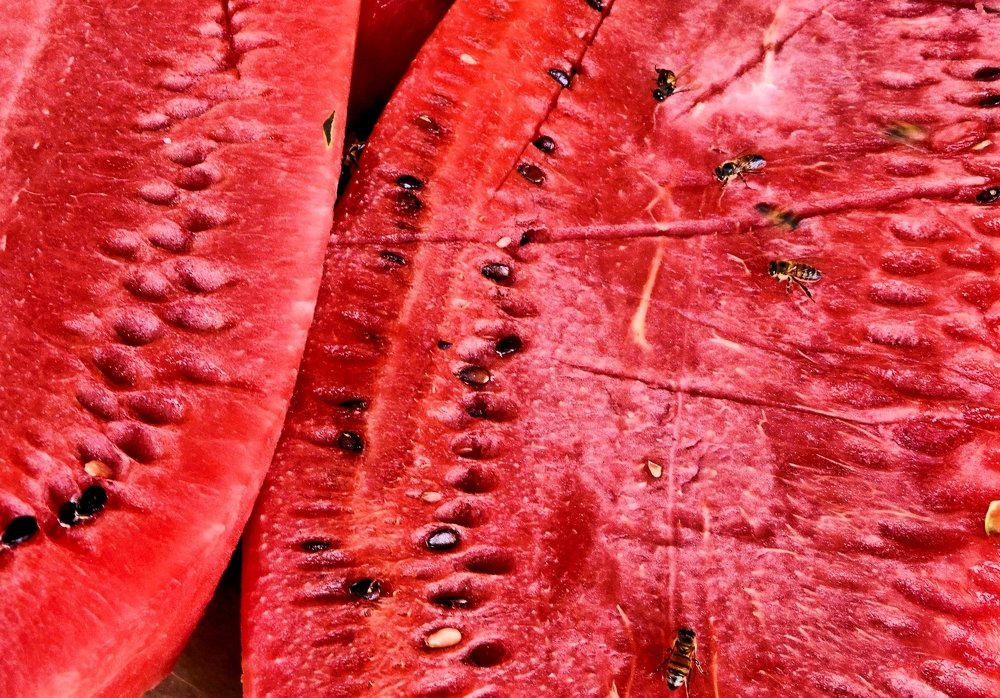 Photograph by Celina CelyTessy