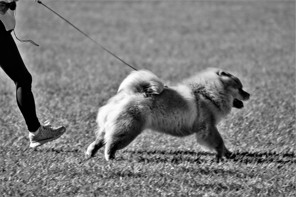 Photograph by Rosângela Verdi