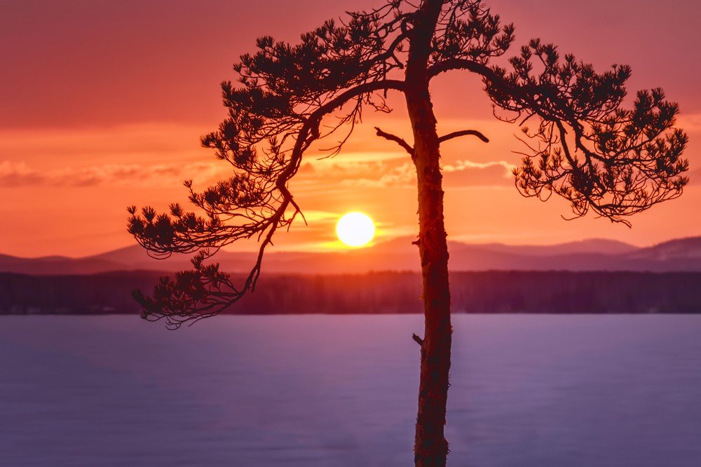 Photograph by Сергей Приходько