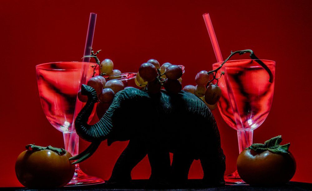 Photograph by Donald Rumsey