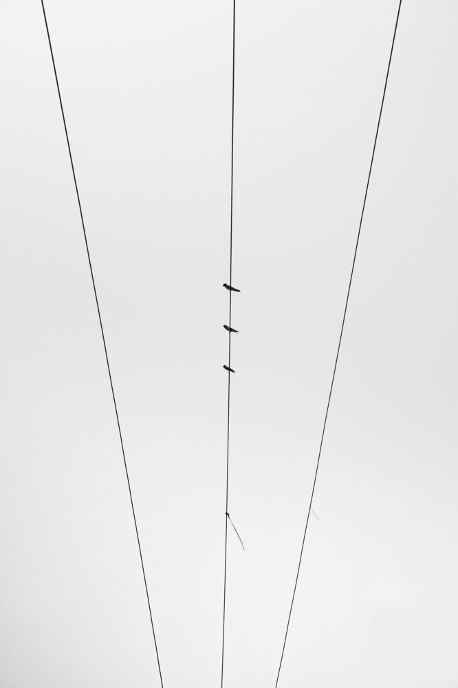 Photograph by GOUTAM MAITI