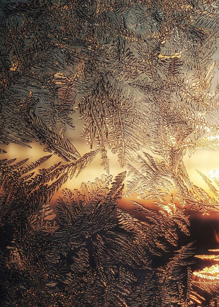 Photograph by Ольга Распопова