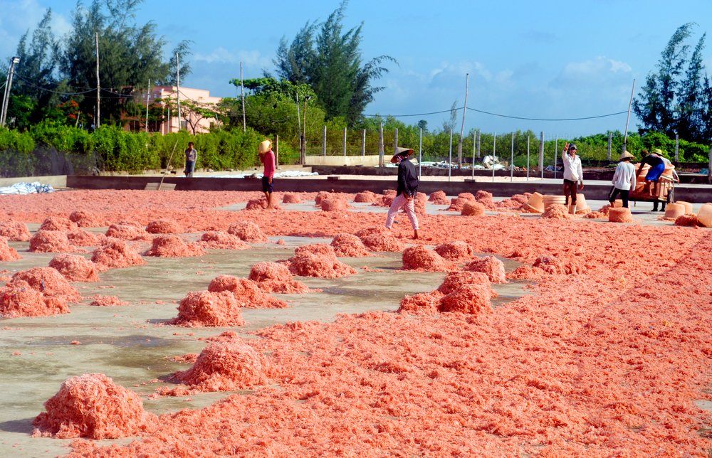 Photograph by HIEU LIEM DO