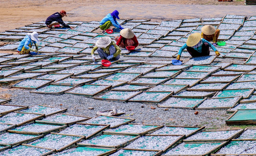 Photograph by Lê Trung Phùng