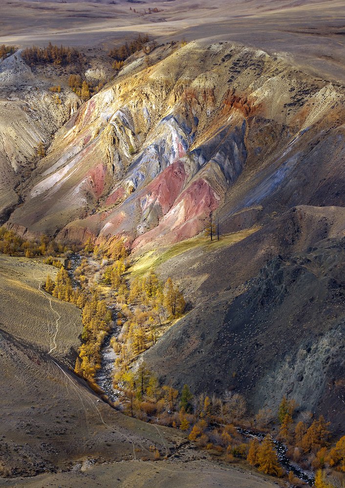 Photograph by Валерий Чичкин