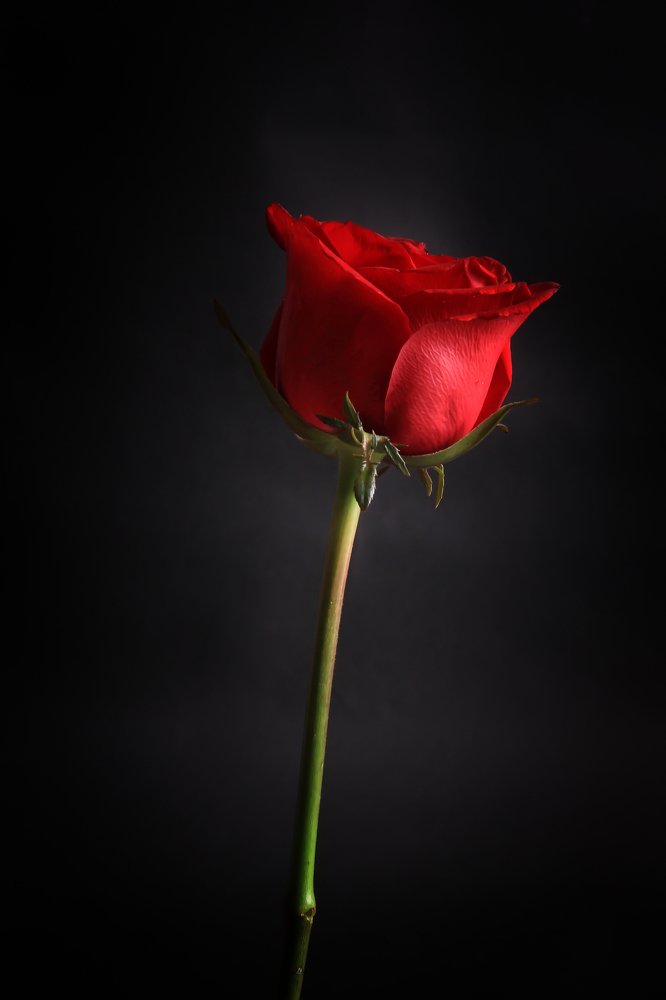 Photograph by endri yana endri yana