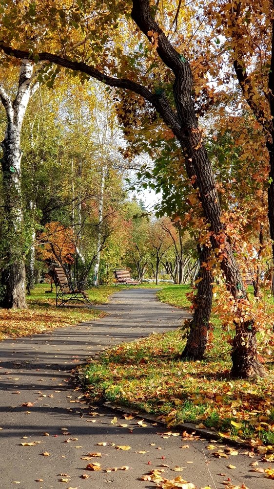 Photograph by Алексей Миронов