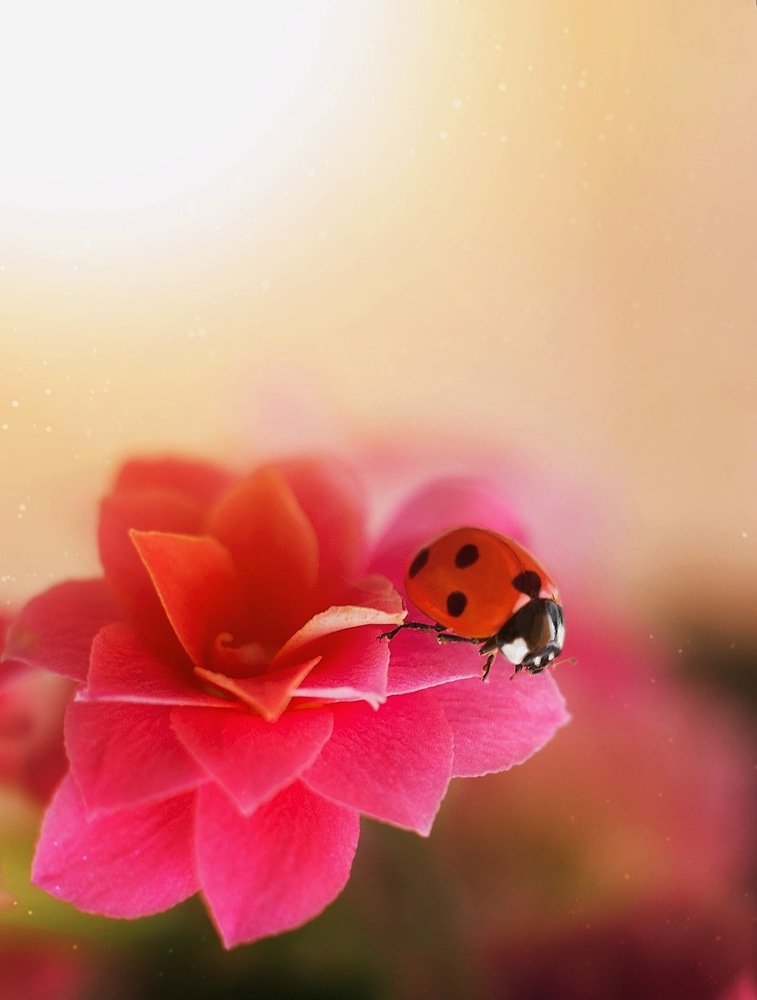 Photograph by Мадина Огорелкова