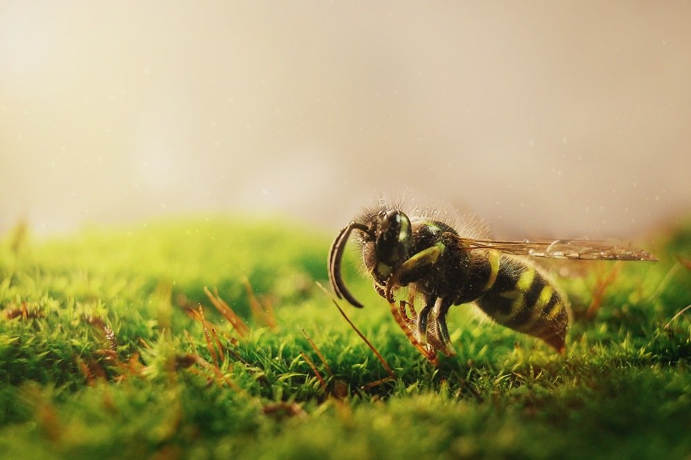 Photograph by Мадина Огорелкова