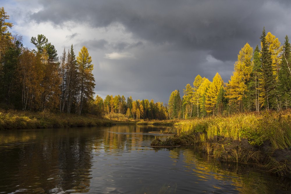 Краски осени