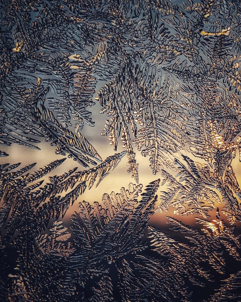 Photograph by Ольга Распопова