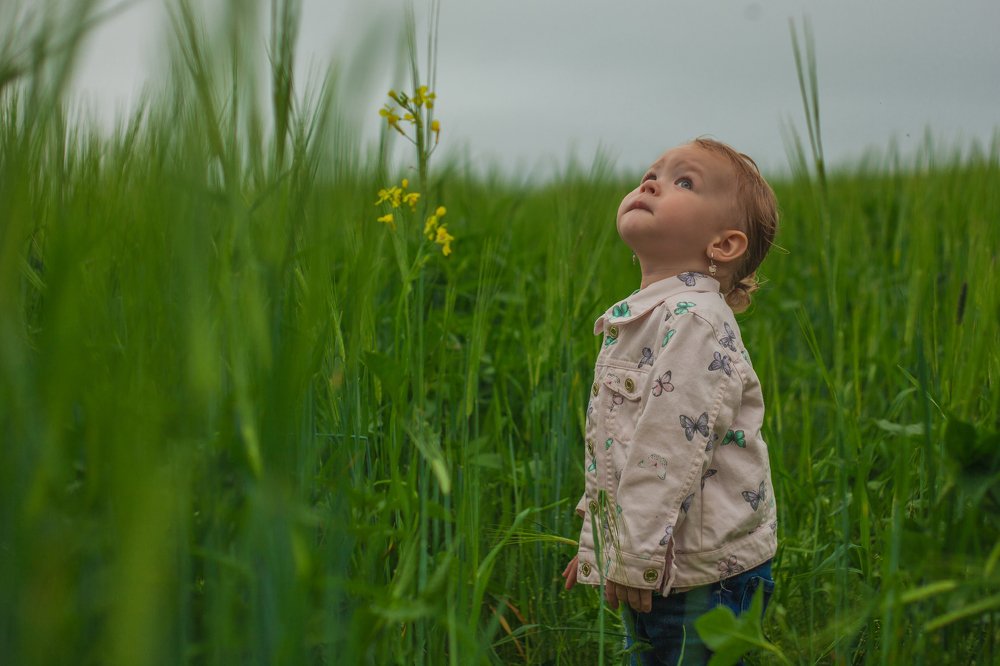 Photograph by Михаил Кондрухов