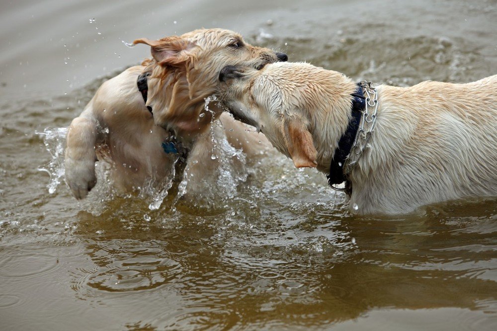 Photograph by Сергей Ключарёв