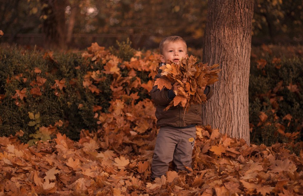 Photograph by Виктория Бурова
