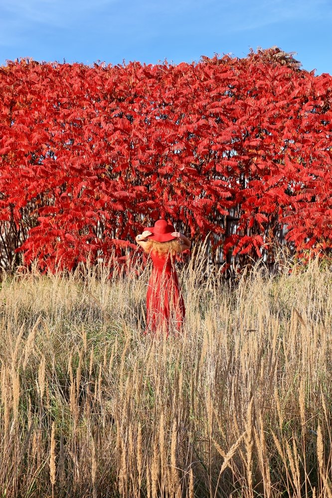 red autumn