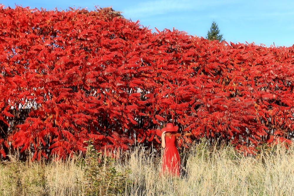 Photograph by Blanka i Piotr Czekalscy