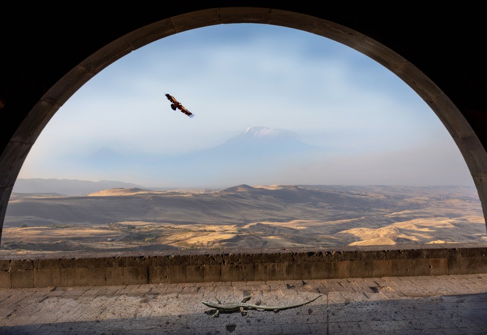 Арарат на рассвете.