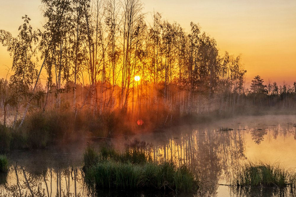 Два солнца.