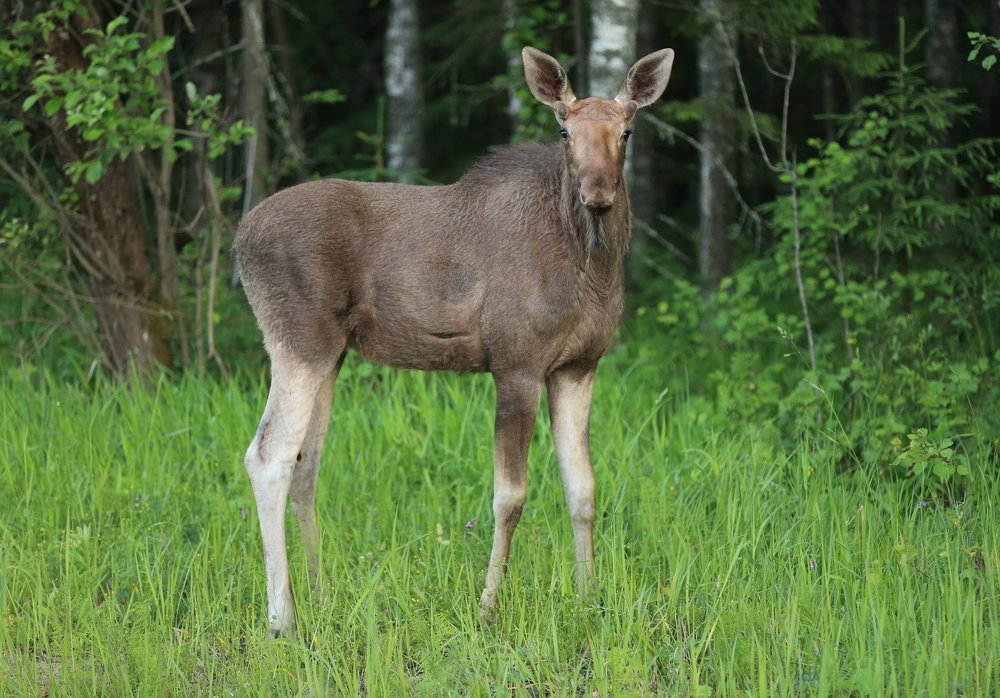 Фотография автора Юрий Кетель