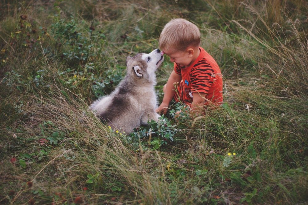 Photograph by Маргарита Кононова