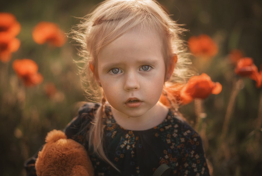 Фотография автора Наталья Водовозова