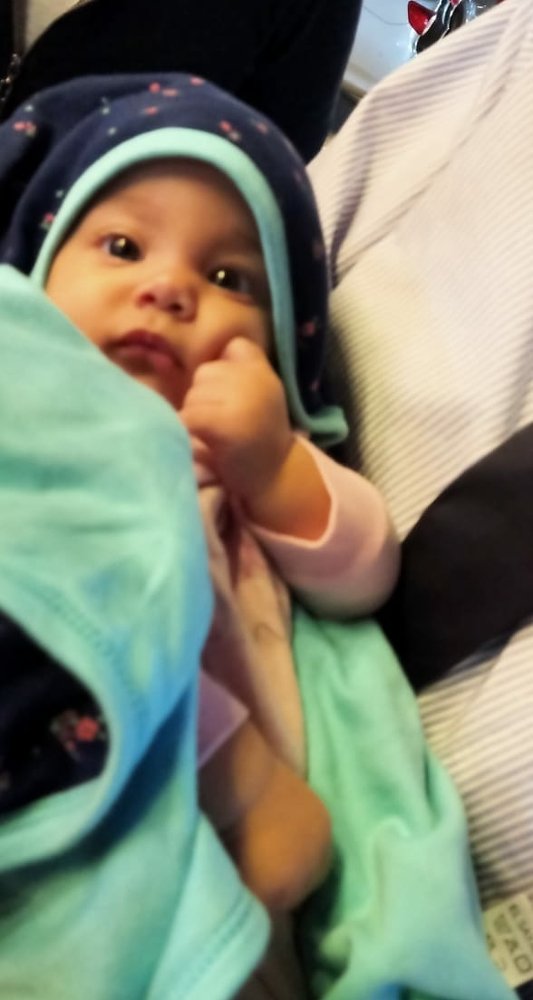 Photograph by OMAR Mourtagy Helal