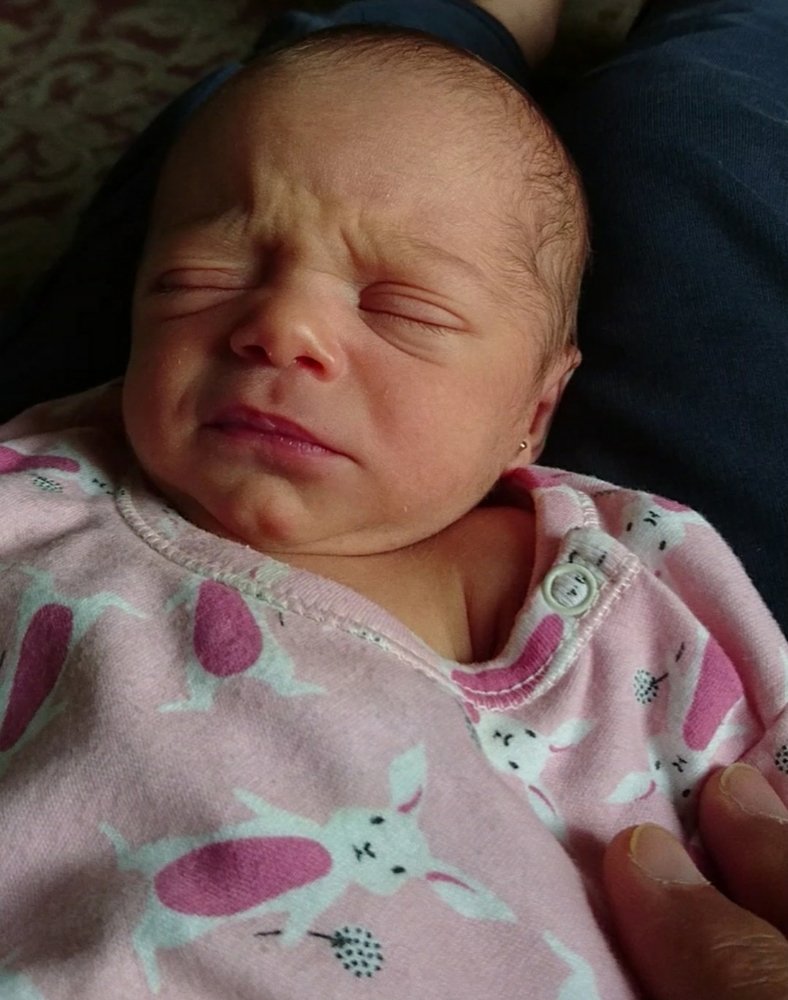 Photograph by OMAR Mourtagy Helal