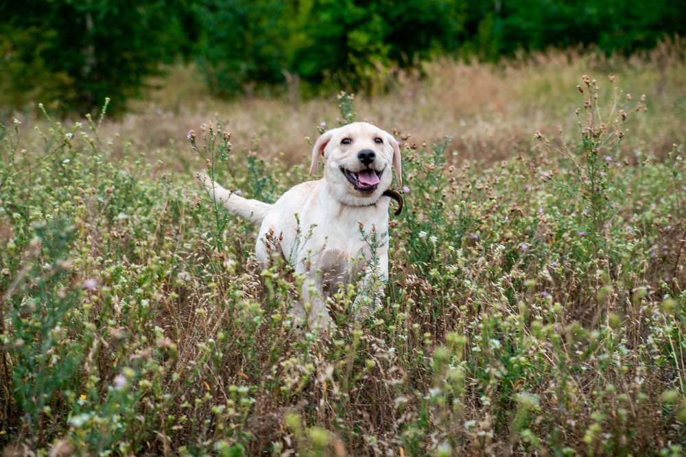 Photograph by Любовь Морец
