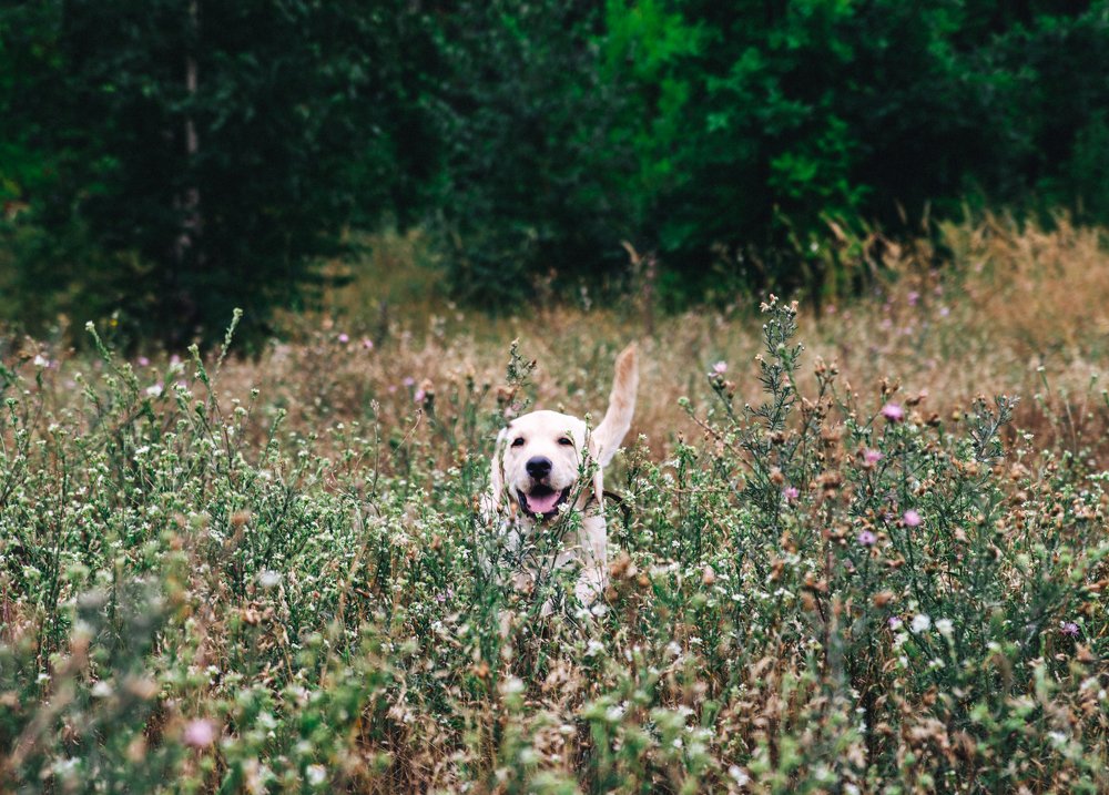 Photograph by Любовь Морец