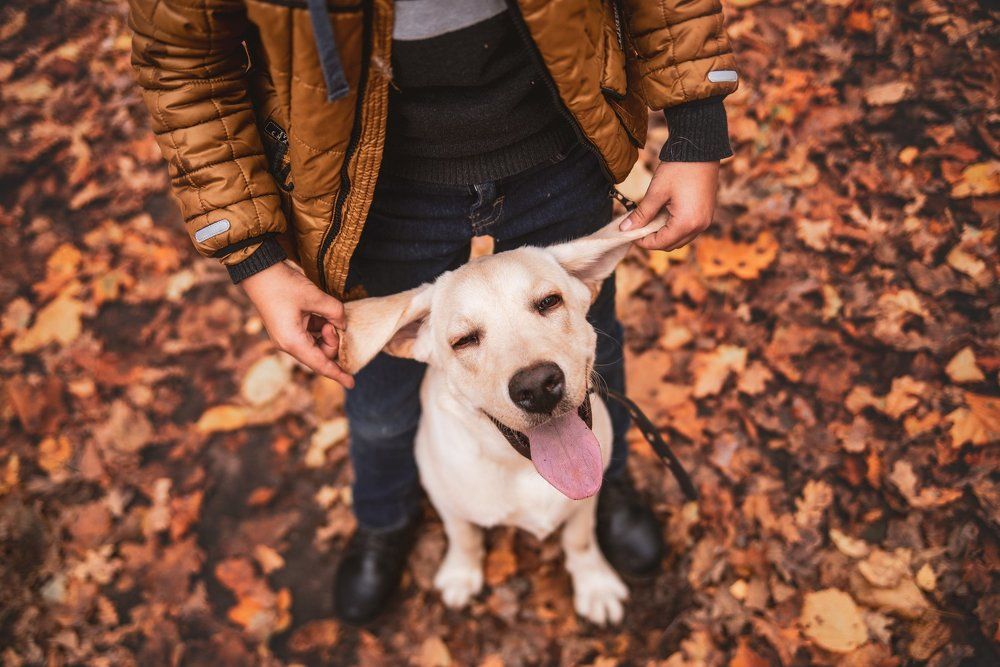 Photograph by Любовь Морец