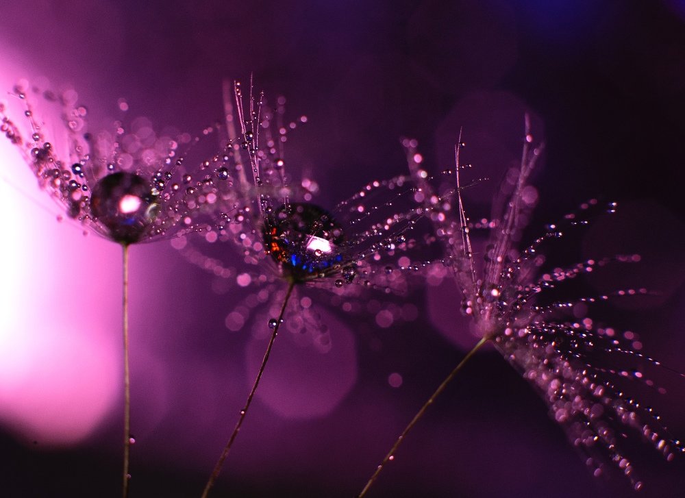 Photograph by Ирина Шишакова