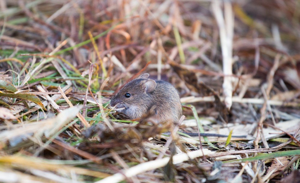 Photograph by Валентина Широбокова
