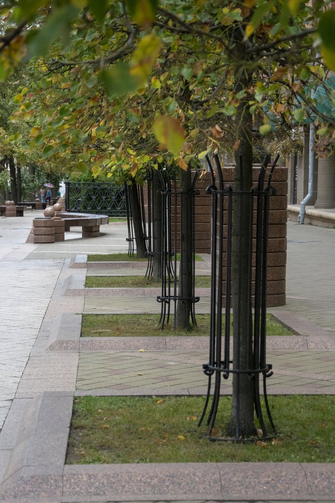 Photograph by Tatiana Zuikova