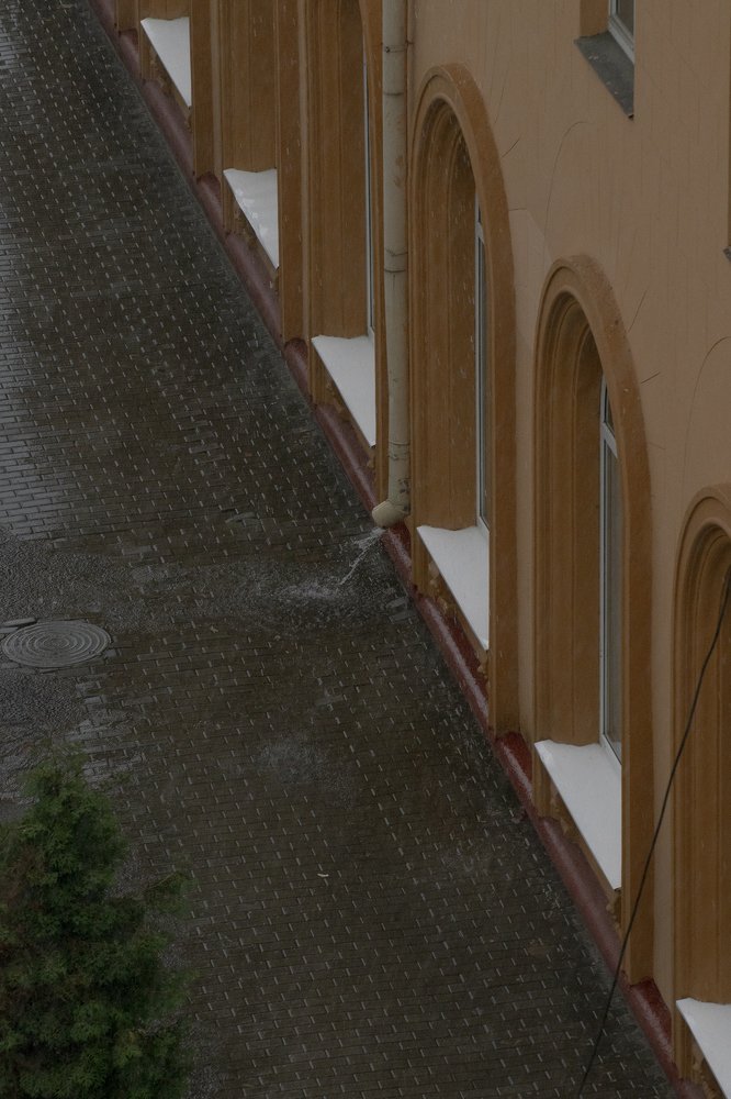 Photograph by Tatiana Zuikova