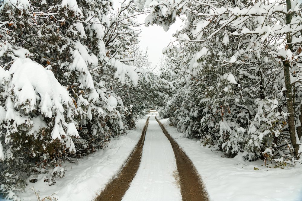 Photograph by Ирина Соболева