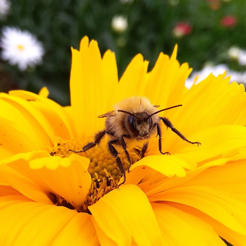 Photograph by Иван Мороз