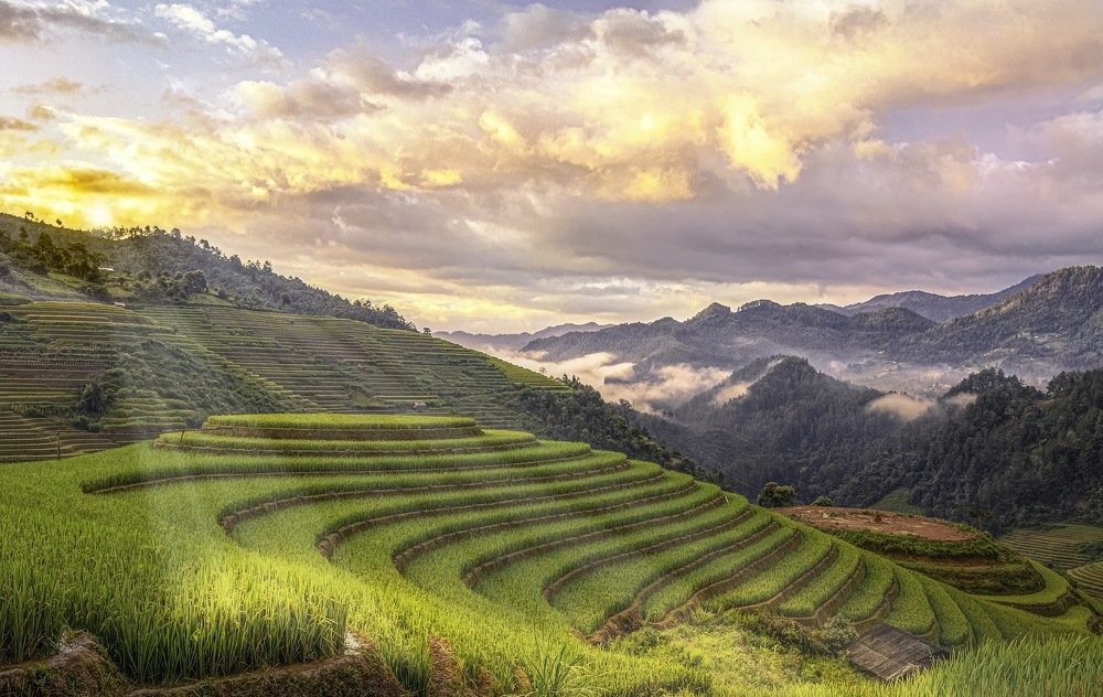 Photograph by Nguyen Ha