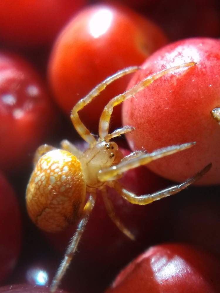 Photograph by Дарья