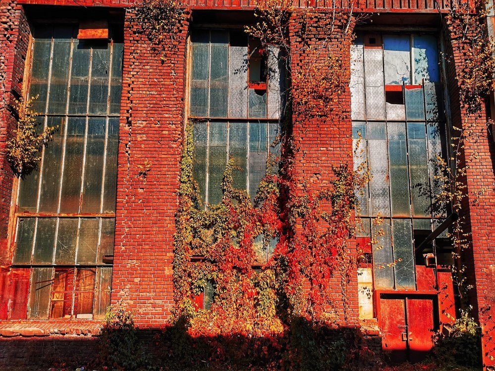 Photograph by Daria Virbanescu