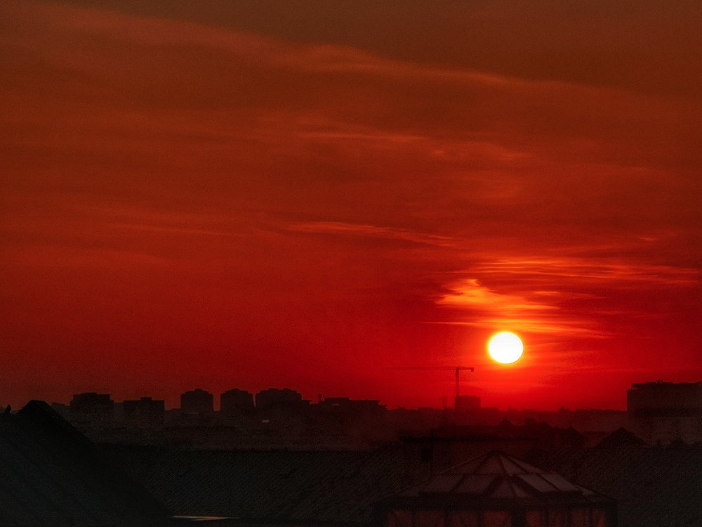 Photograph by Daria Virbanescu