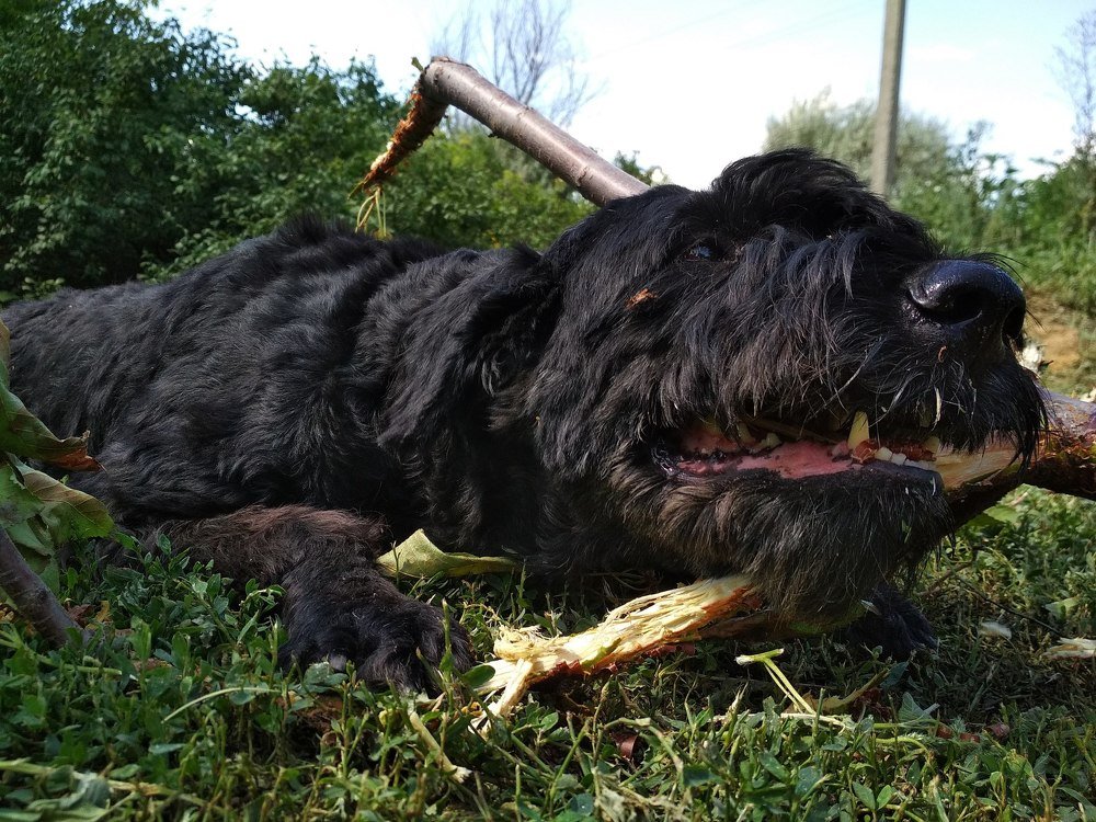 Photograph by Дарья