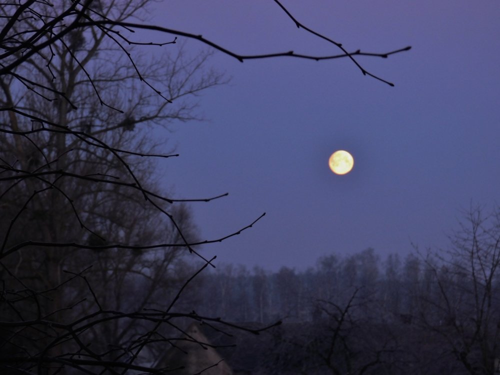 Фотография автора Daniel